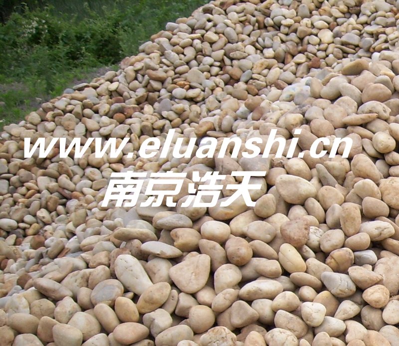 49福彩网变压器鹅卵石销售部供应天然本色白鹅卵石变压器鹅卵石。